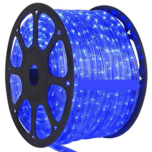 220v 2 Wire Round Led Rope Light Blue 1m Bing Light