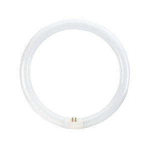 22w T5 Fluorescent Circline Bulb 6000k 4 Pin 465mm Bing Light