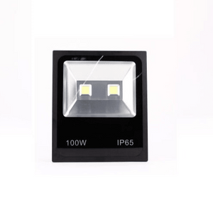 100w Led COB 6000k Flood Light Dr Light