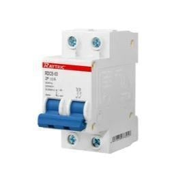 2 Pole 40A Circuit Breaker Din Rail Raytric