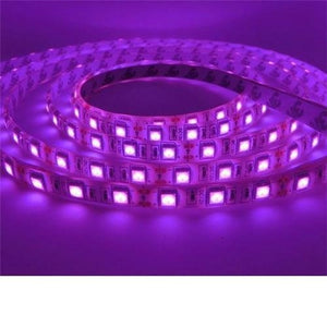 12v 10mm 5050 60 Led Strip Light Ip65 5m Roll Purple Bing Light