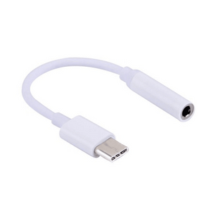C-type to Aux Female