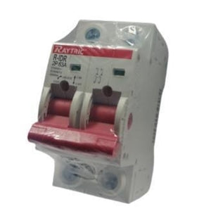 2 Pole 63A Din Rail Isolator Raytric