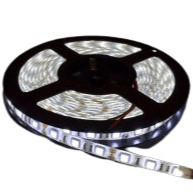 12v 10mm 5050 60 LED Nova 65 Strip Light IP65 5m Roll 6000k Bing Light