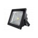 30w Led COB Flood light 6000k