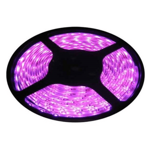 12v 10mm 5050 60 LED Nova 65 Strip Light IP65 5m Roll Pink Bing Light