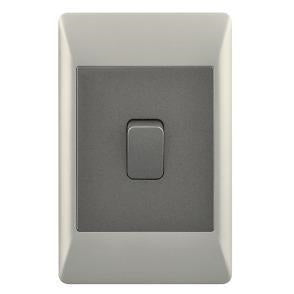 4X2 1 Lever Light Switch Champagne & Charcoal ESW071 Duo Bright Star