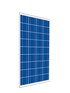Cinco 100W 36 Cell Poly Solar Panel