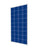 Cinco 160W 36 Cell Poly Solar Panel