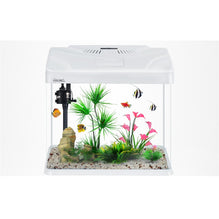 20l 2024 fish tank